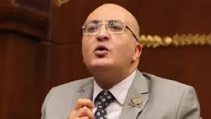 النائب عمرو عزت حجاج