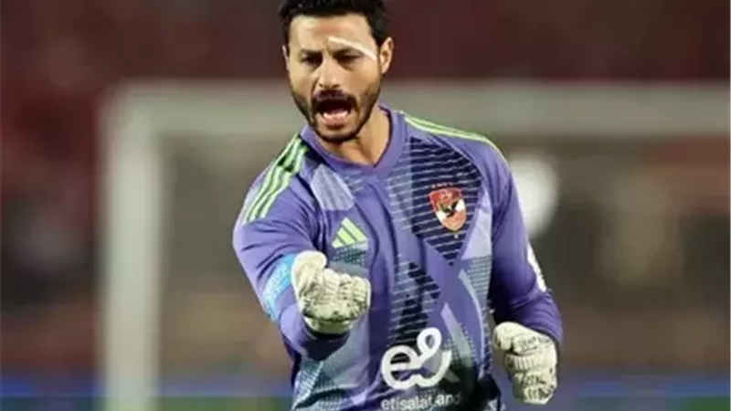محمد الشناوي