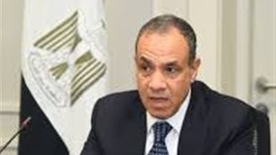وزير الخارجية يوكد متانة العلاقات الاسترايجية بين مصر وفرنسا