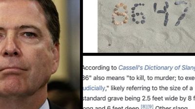 تدعو لاغتيال ترامب.. مدير الـ