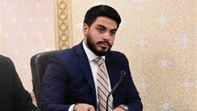 برلماني لـ«بلدنا اليوم»: قانون الانتخابات تمثيلًا عادلًا للمواطن بمجلسي النواب والشيوخ 