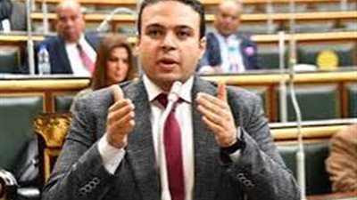 برلماني عن قانون الانتخابات: سيصيب الحياة السياسية بالجمود