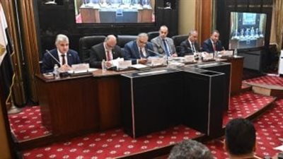 اللجنة التشريعية توافق على جداول دوائر انتخابات النواب 2025