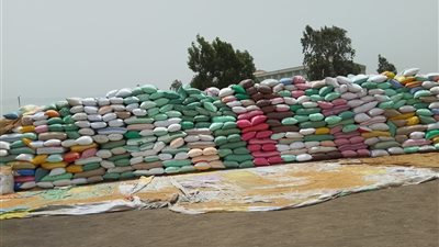 استمرار توريد القمح بكفر الشيخ لتحقيق المستهدف 317 ألف طن