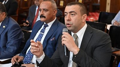 «حماة الوطن»: تكييف قوانين الانتخابات استثمار في العدالة الاجتماعية