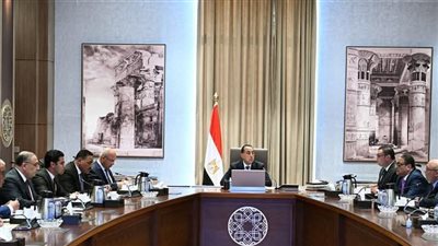 مدبولي: التعداد العام للسكان 2027 ركيزة رسم سياسات الدولة التنموية