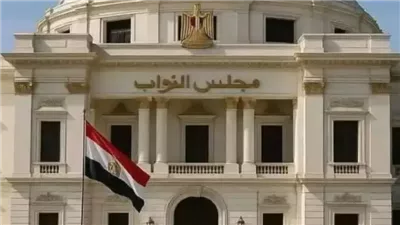 الشارع السياسي على صفيح ساخن .. هل أنصف قانون الدوائر مواطني كفر الشيخ؟