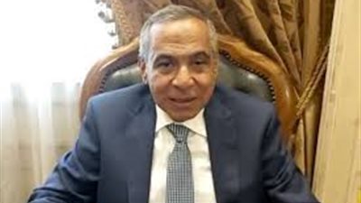 برلماني: قانون الانتخابات الجديد يحقق التوازن بين جميع القوى السياسية