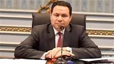 النائب هشام الحصري: الدولة تعمل على استراتيجية لزيادة الاستثمار بقطاع الزراعة