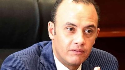 رئيس شعبة صناعة الدواجن بالجيزة: سنصدر 30% دواجن مُصنعة للخليج وإفريقيا (خاص)