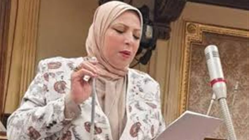 النائبة إحسان شوقي