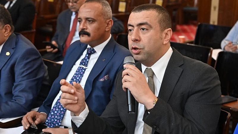 النائب أحمد بهاء