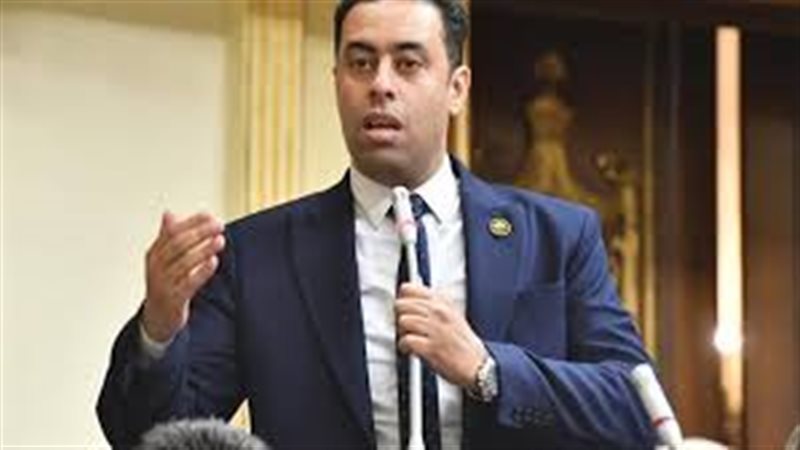 النائب أحمد فرغلي