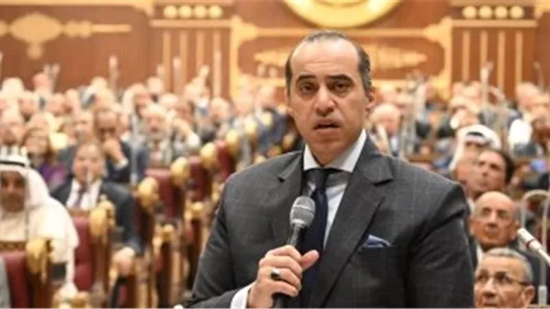 المستشار محمود فوزي