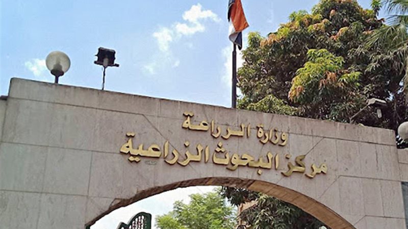 مركز البحوث الزراعية-