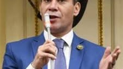 برلماني: النظام الانتخابي الحالي يحقق نقلة نوعية للحياة السياسية