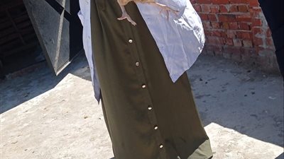 بيطري كفر الشيخ يواصل جهوده: تحصين أكثر من 173 ألف طائر خلال مايو