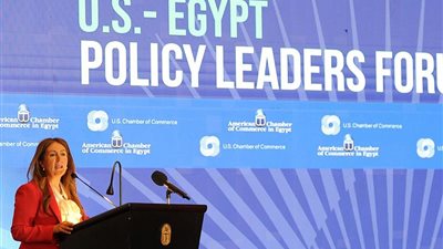 سفيرة أمريكيا: نقترب من إبرام اتفاقية جمركية تاريخية مع القاهرة