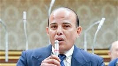 النائب عمرو القطامى: الدولة تتبنى سياسات إصلاحية لتعزيز الاقتصاد المصري