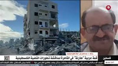 أستاذ علوم سياسية: الانتهاكات الإسرائيلية في غزة ليس لها نهاية