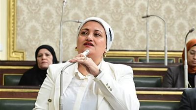 برلمانية: العلاوات بلا رقابة على الأسعار تتحول لعبء على المواطنين