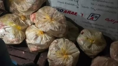 ضبط أطنان دواجن فاسدة داخل ثلاجة غير مرخصة في القليوبية