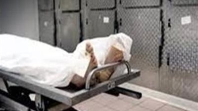 مشادة بسبب بقرة تنتهي بمقتل سيدة في كفر الشيخ.. ما القصة؟