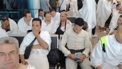 الزراعة تطلق أولى بعثات الأطباء البيطريين المصريين للإشراف على الهدي والأضاحي بموسم الحج 2025