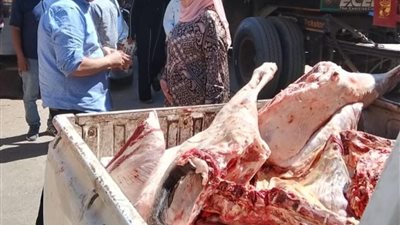 استعدادا لعيد الاضحى.. ضبط نصف طن لحوم غير صالحة بالمنوفية