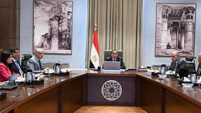 رئيس الوزراء يتابع مستجدات تنفيذ المشروعات التنموية والخدمية في الوادي الجديد
