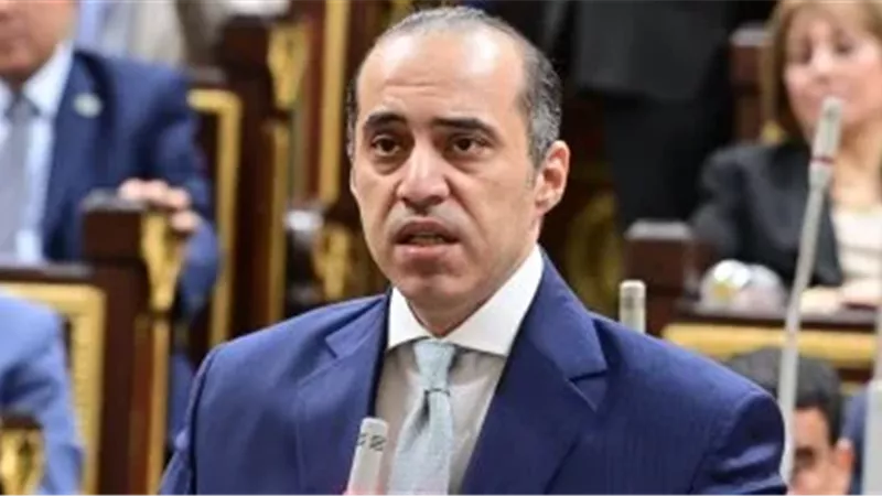 محمود فوزي