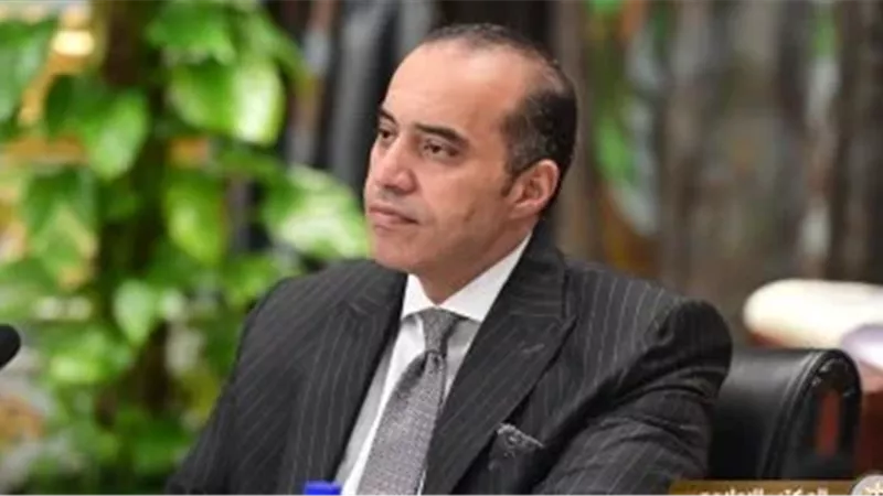 المستشار محمود فوزي