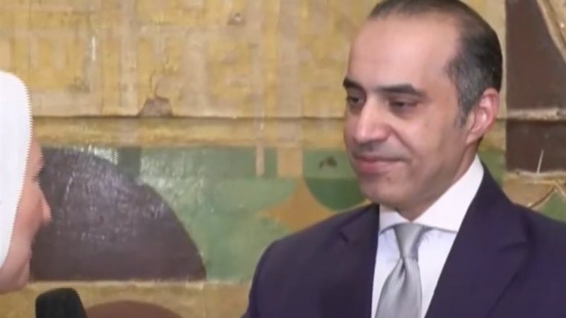 المستشار محمود فوزي