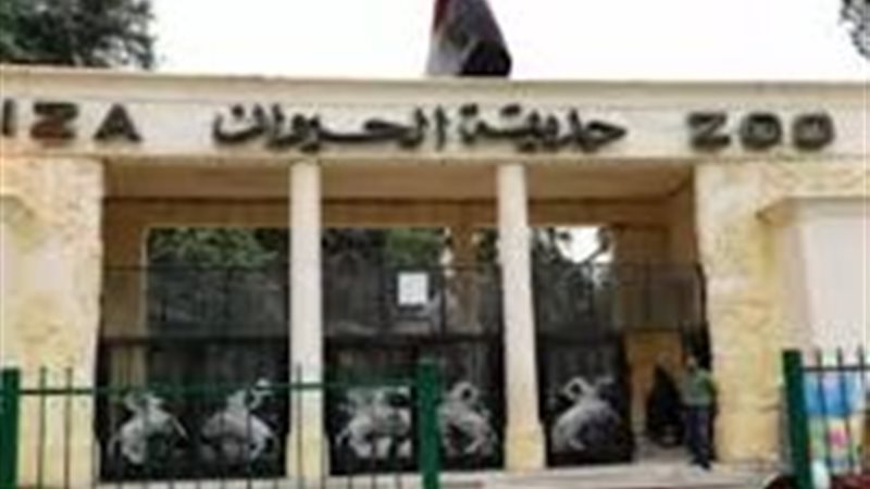 حديقة الحيوان بالجيزة