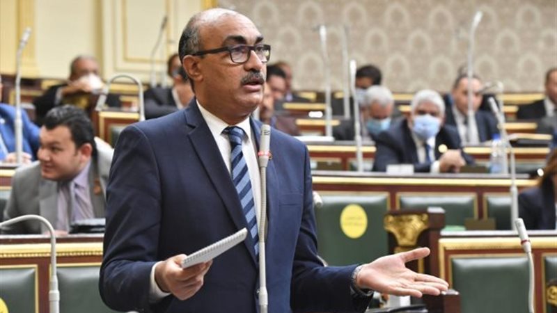 إيهاب منصور عضو مجلس