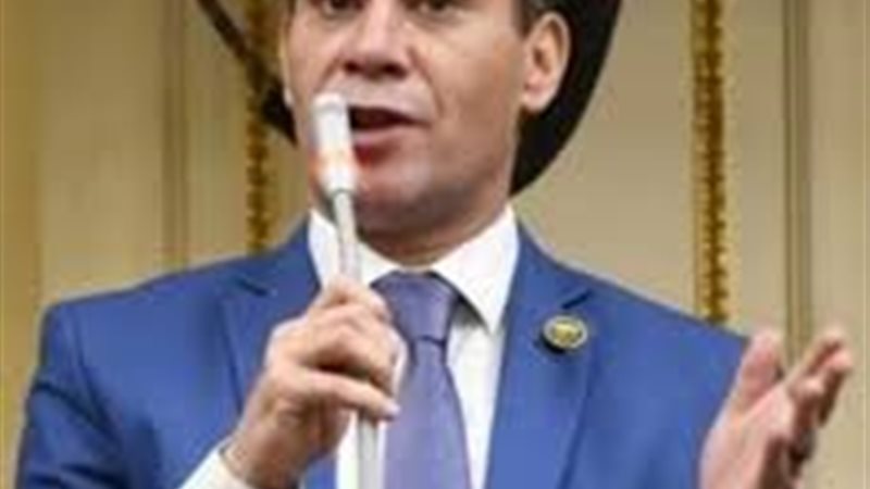 أحمد عاشور عضو مجلس