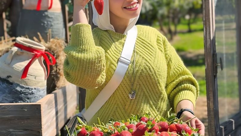 الفراولة الاسمعلاوي