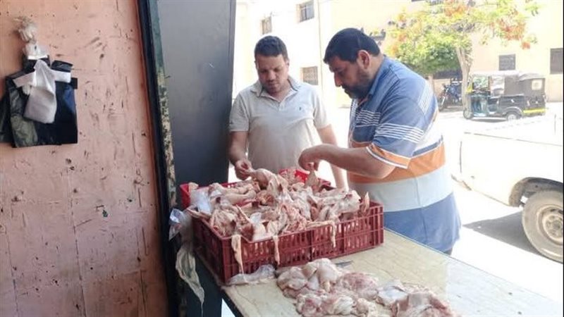 ضبط لحوم وأسماك فاسدة