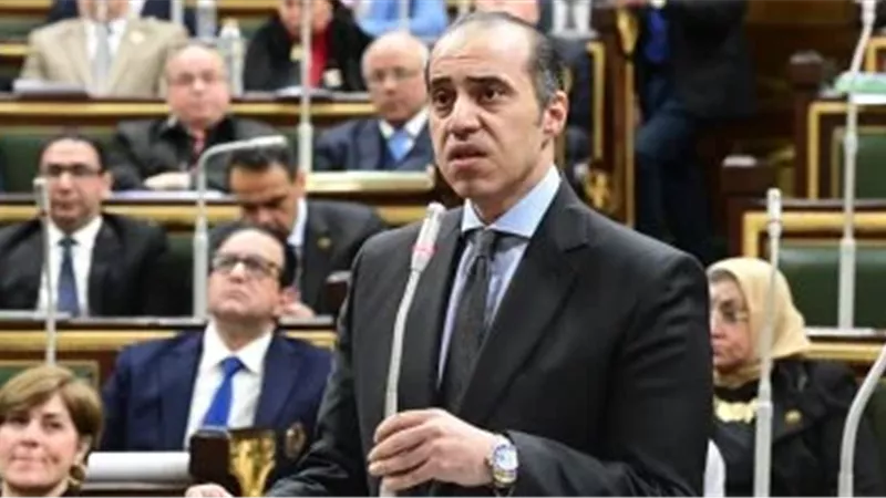 المستشار محمود فوزي