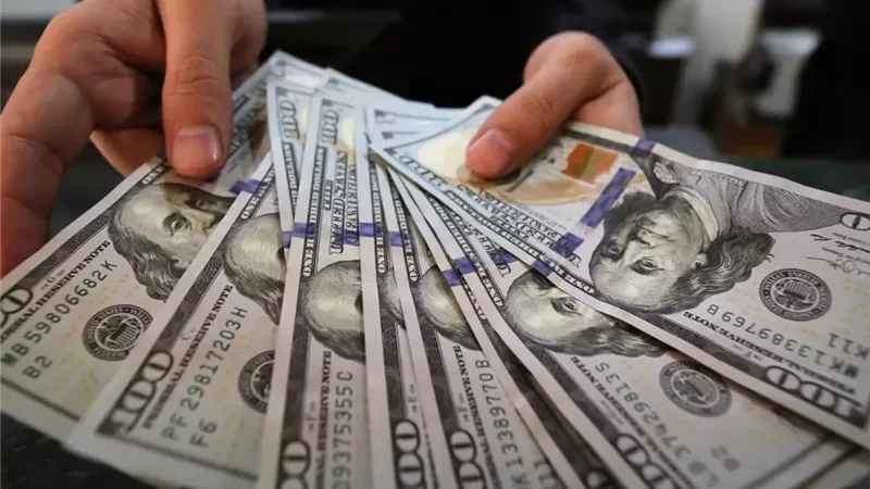 سعر الدولار اليوم