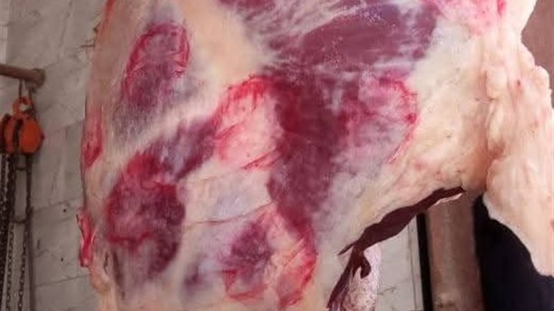 ضبط 63.8 كجم لحوم