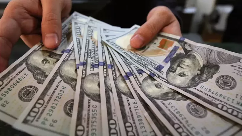 سعر الدولار