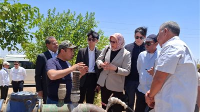 وفد أوزبكي يزور مصر لتبادل الخبرات الزراعية ويشيد بتجربة الزراعة الحديثة والتنمية الصحراوية