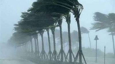 الأرصاد الجوية تحذر: أمطار متفاوتة ورياح قوية تضرب السواحل الشمالية