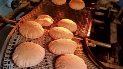 حملات مكثفة على المخابز في كفر الشيخ تضبط 71 مخالفة تموينية