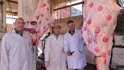 وكيل بيطري كفر الشيخ يتفقد مجزر برج البرلس استعدادًا لعيد الأضحى