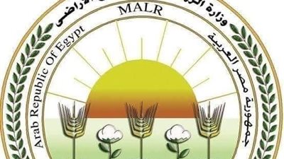 «الزراعة» تكشف حقيقة بيع مبناها القديم.. تفاصيل