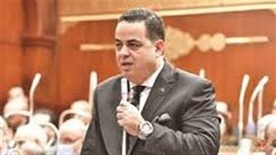 عصام هلال: بيان الخارجية عن «قافلة الصمود» يجسد احترام السيادة الوطنية