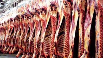 توزيع لحوم الأضاحي بعد عيد الأضحى 2025.. إليك طريقة التقسيم والحكم الشرعي