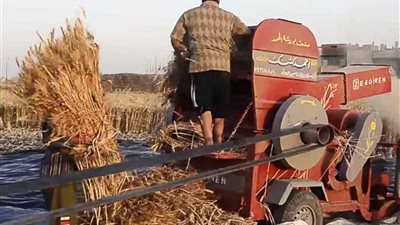 شهداء لقمة العيش.. 